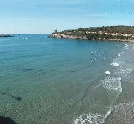 Aparthotel Mediterraneo 3*